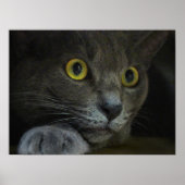 Intensiteit afdrukken poster (Voorkant)