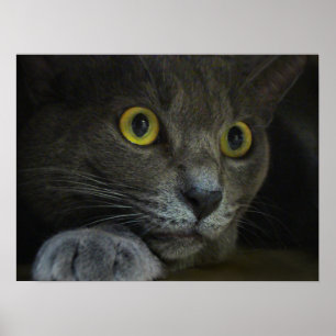 Intensiteit afdrukken poster