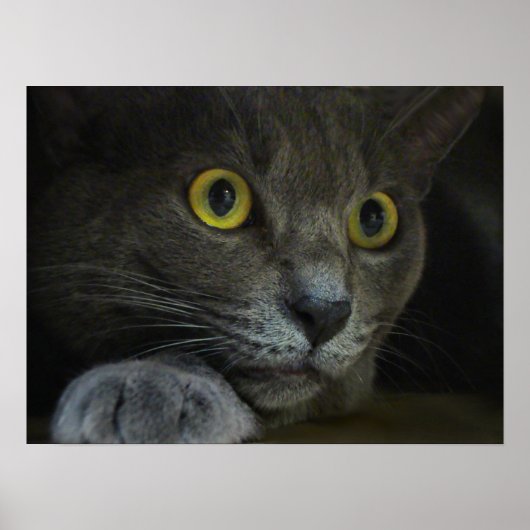 Intensiteit afdrukken poster (Voorkant)