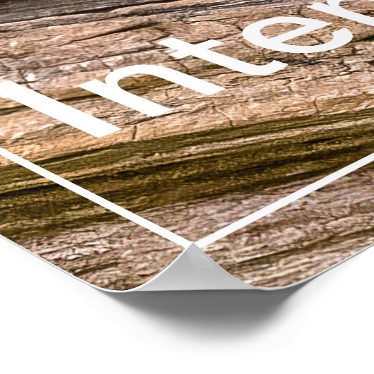 Intensiteit Chipmunk Stare Poster (Hoek)