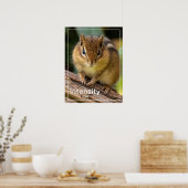 Intensiteit Chipmunk Stare Poster (Keuken)