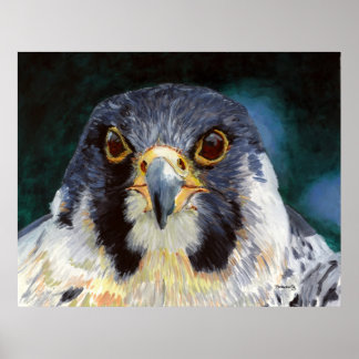 Intensiteit - de smog van de valk poster