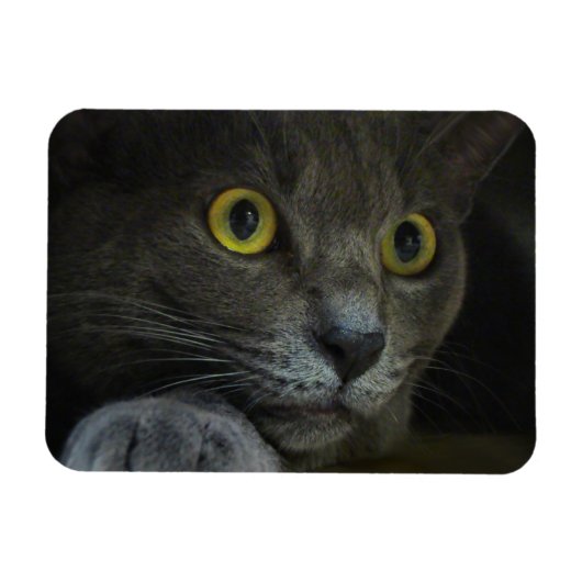 Intensiteit Flexibele magneet (Horizontaal)