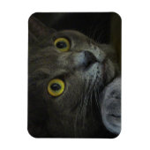 Intensiteit Flexibele magneet (Verticaal)