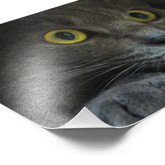 Intensiteit Fotoafdrukken Foto Afdruk (Hoek)