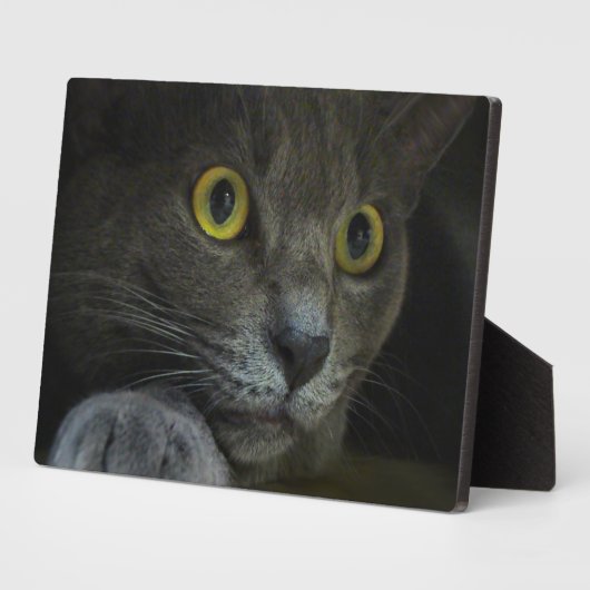 Intensiteit Fotoplaque Fotoplaat (Zijkant)