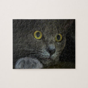 Intensiteit Puzzle Legpuzzel