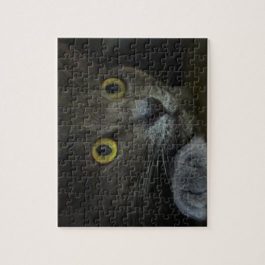 Intensiteit Puzzle Legpuzzel (Verticaal)