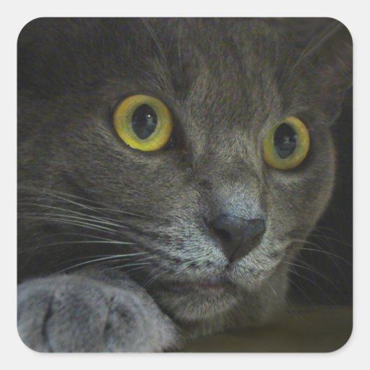 Intensiteit Stickers (Voorkant)