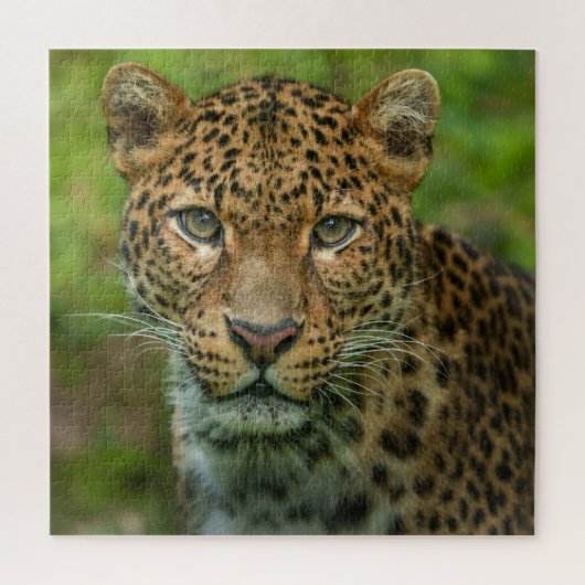 Intensiteit van Jaguar Legpuzzel (Verticaal)