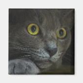 Intensiteitsmagneet Magneet (Voorkant)