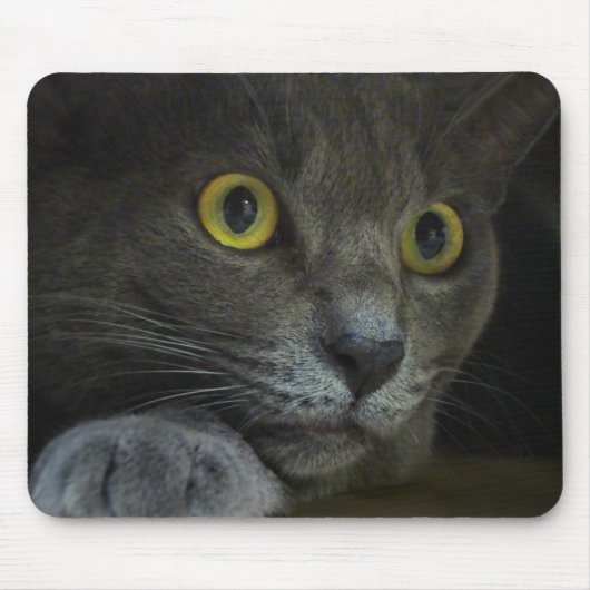 Intensity Mousepad Muismat (Voorkant)