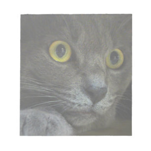 Intensity-notebook Notitieblok