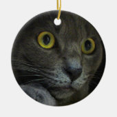 Intensity Ornament (Voorkant)