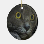 Intensity Ornament (Links)