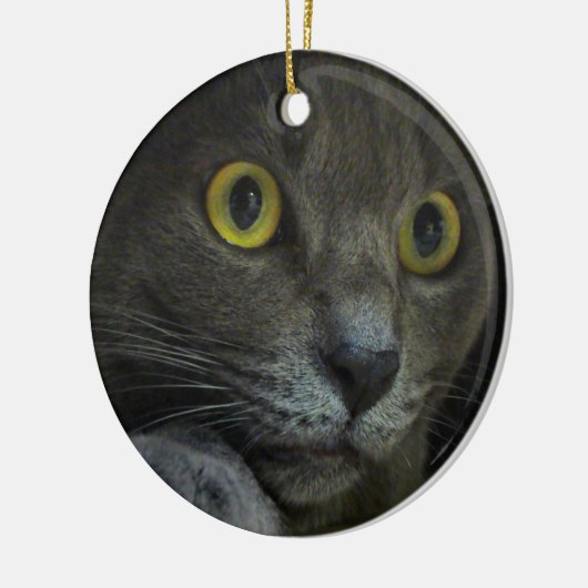 Intensity Ornament (Links)