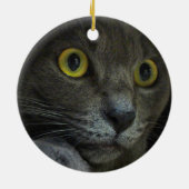 Intensity Ornament (Achterkant)