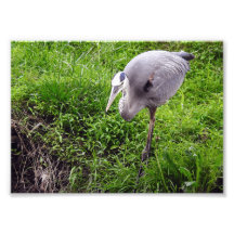 Intent Reiger