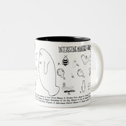 Interessant beheert mok (Voorkant rechts)