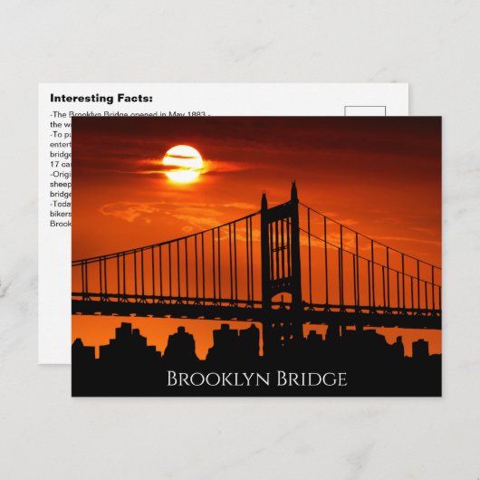 Interessante Brooklyn Bridge feiten Briefkaart (Voorkant / Achterkant)
