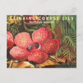 Interessante feiten Grootste bloem Briefkaart (Voorkant)