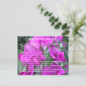 Interessante feiten over april briefkaart (Staand voorkant)