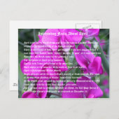 Interessante feiten over april briefkaart (Voorkant / Achterkant)