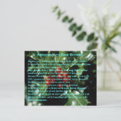 interessante feiten over december briefkaart (Staand voorkant)