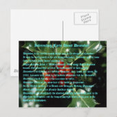 interessante feiten over december briefkaart (Voorkant / Achterkant)