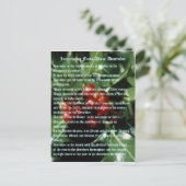 interessante feiten over december briefkaart (Staand voorkant)