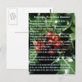 interessante feiten over december briefkaart (Voorkant / Achterkant)