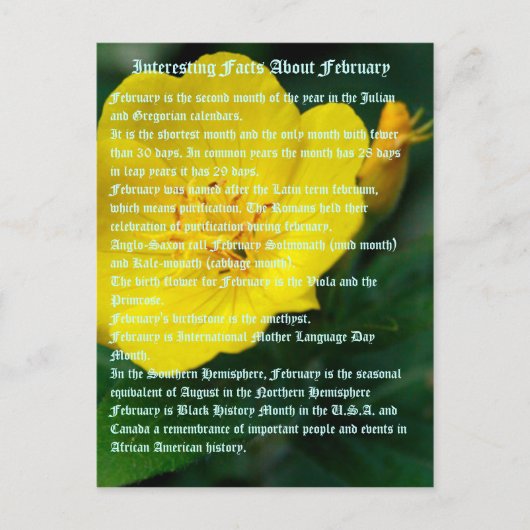 Interessante feiten over februari briefkaart (Voorkant)