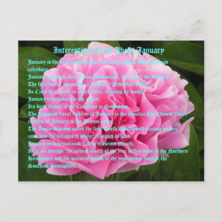 Interessante feiten over januari briefkaart