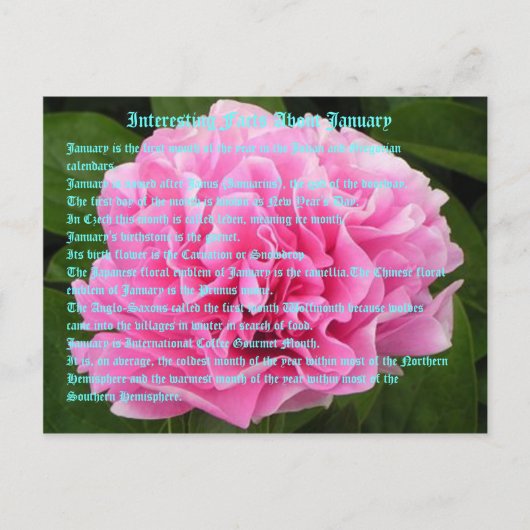Interessante feiten over januari briefkaart (Voorkant)