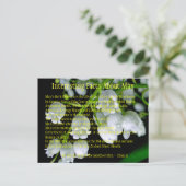 Interessante feiten over mei aankondigingskaart (Staand voorkant)