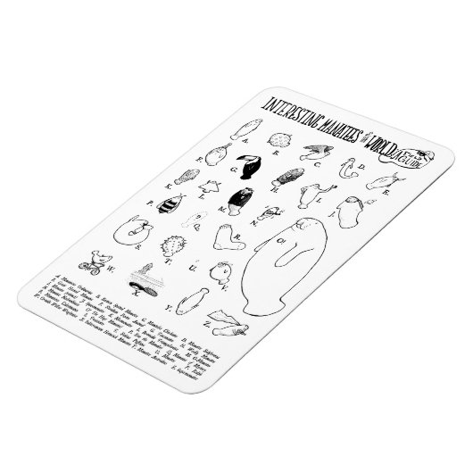 Interessante Manatees magneet (Linkerzijde)