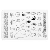 Interessante Manatees magneet (Horizontaal)