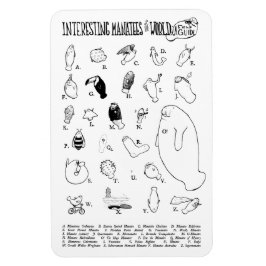Interessante Manatees magneet