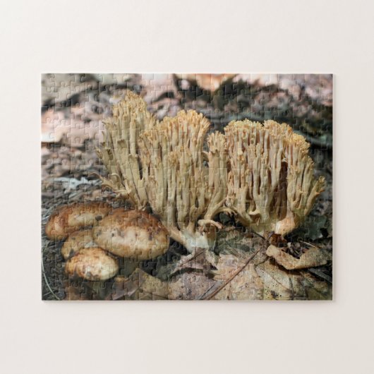 Interessante Natuur van wilde paddenstoelen Legpuzzel (Horizontaal)