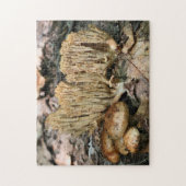 Interessante Natuur van wilde paddenstoelen Legpuzzel (Verticaal)