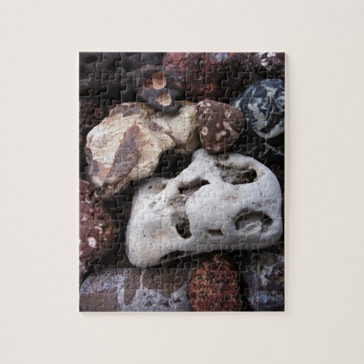 Interessante Rocks van Lake Michigan Shore Legpuzzel (Verticaal)
