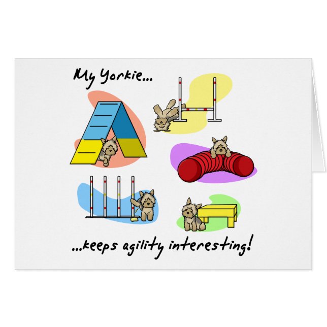 Interessante Yorkie Agility (Voorkant Horizontaal)