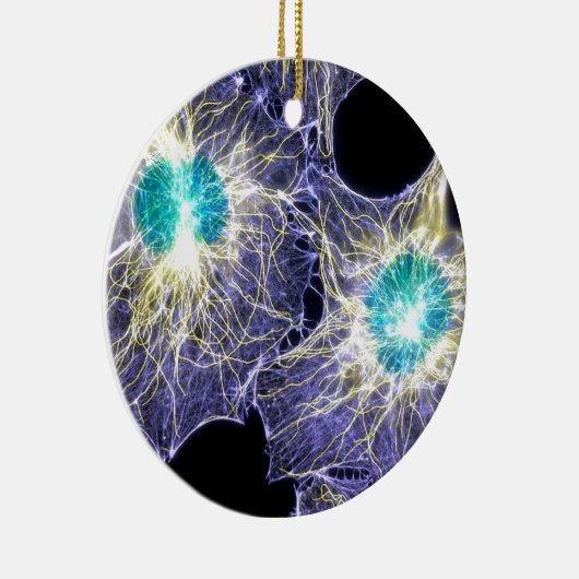 Interfase Keramisch Ornament (Rechts)