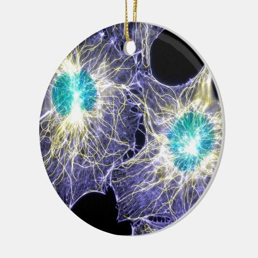 Interfase Keramisch Ornament (Links)