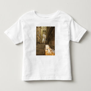 Interieur van de Sint-Pieterskathedraal in Regensb Kinder Shirts