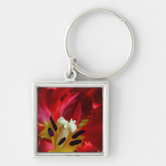 Interieur van papegaai tulp bloem sleutelhanger (Voorkant)