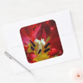 Interieur van papegaai tulp bloem vierkante sticker (Envelop)