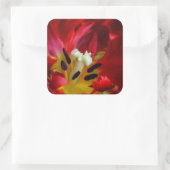 Interieur van papegaai tulp bloem vierkante sticker (Tas)