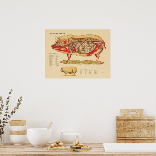 Intern organigram varkensdiergeneeskunde poster (Keuken)