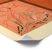 Intern Uitzicht retina van de  afdruk van het oog Poster (Hoek)